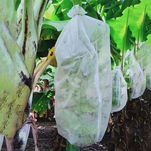 BUILDINGSHOP Banana Cover Tubing Sheild 17 GSM (31 Inch X 50 MTR) Geotextile for Protecting Banana & Fruits from Insects, Sun, Climatic Conditions