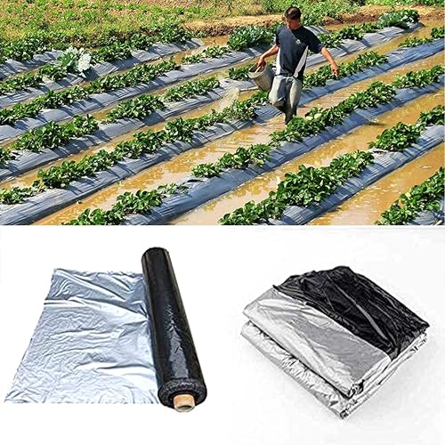 Buildingshop Mulching Sheet for Agriculture - Virgin Raw Material Mulch Film for Agriculture Ground Cover Mulch Film to Grow Premium Fruits & Vegetables