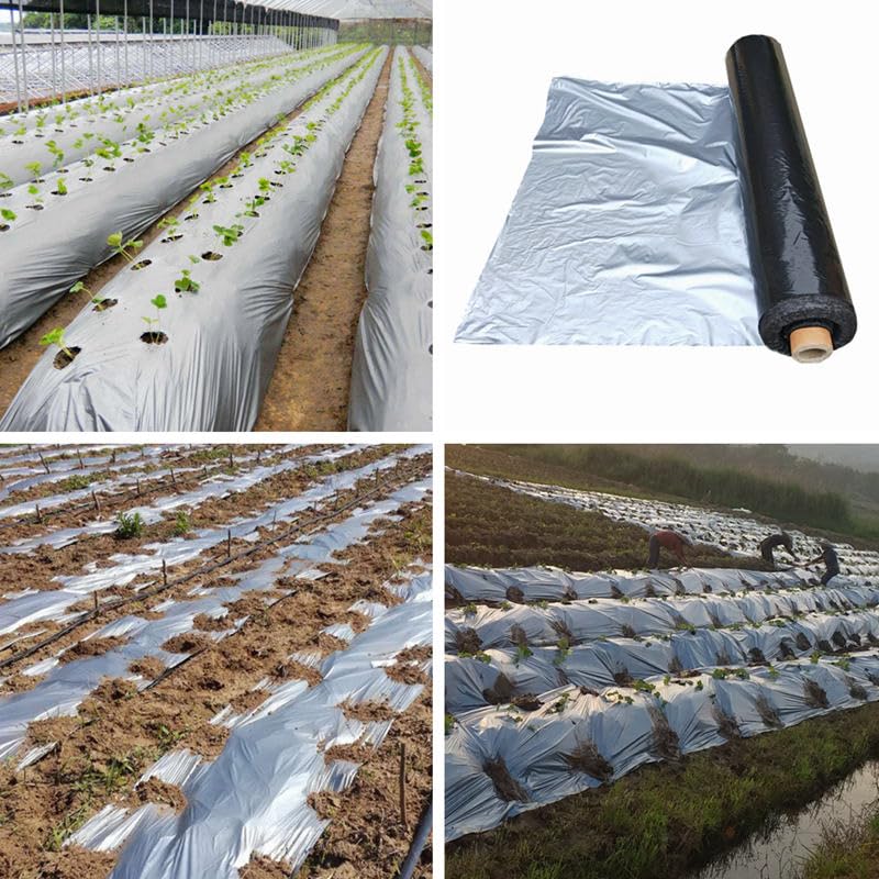 Buildingshop Mulching Sheet for Agriculture - Virgin Raw Material Mulch Film for Agriculture Ground Cover Mulch Film to Grow Premium Fruits & Vegetables