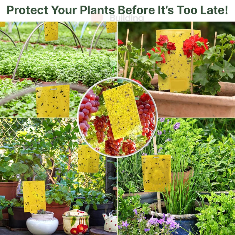 BUILDINGSHOP Sticky Traps for Plants, Yellow and Blue, 15x20cm Double-Sided, Waterproof, Non-Toxic Insect Catcher for Indoor and Outdoor Use